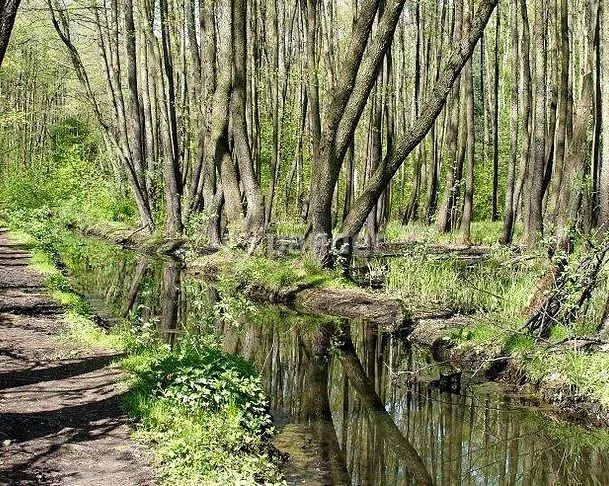 Mieszkanie, ul. Akcent