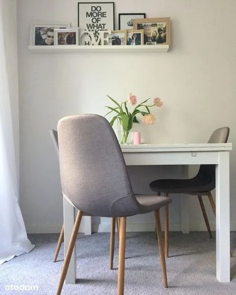 Mieszkanie Sady Żoliborskie - 42 m2