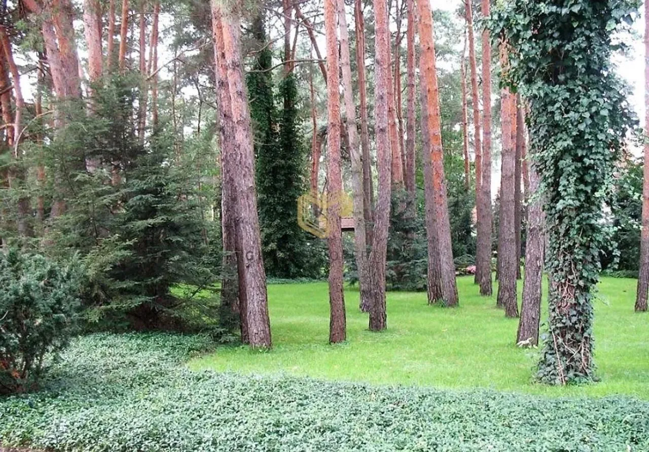 Dom dwór, zamek, pałac na sprzedaż