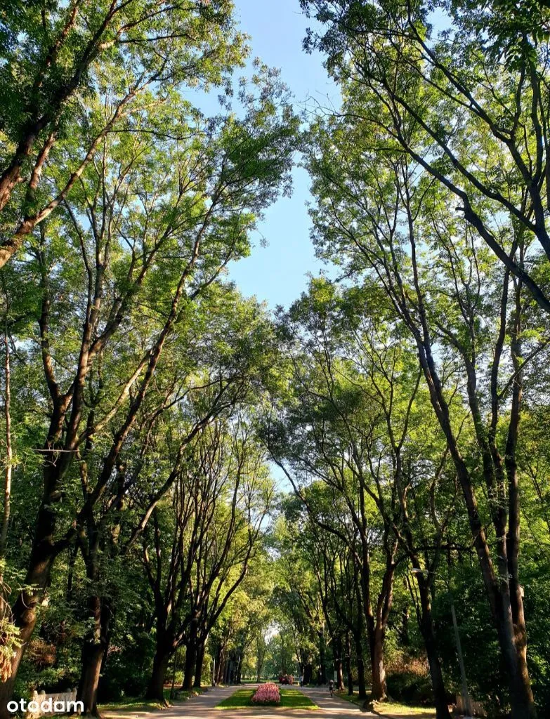 Klimatyczne mieszkanie z kominkiem, 4 pokoje, 120m