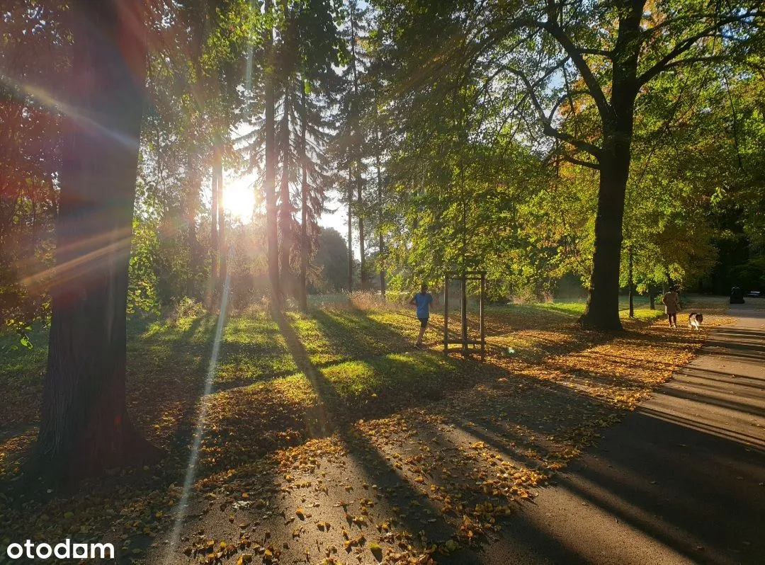 Klimatyczne mieszkanie z kominkiem, 4 pokoje, 120m