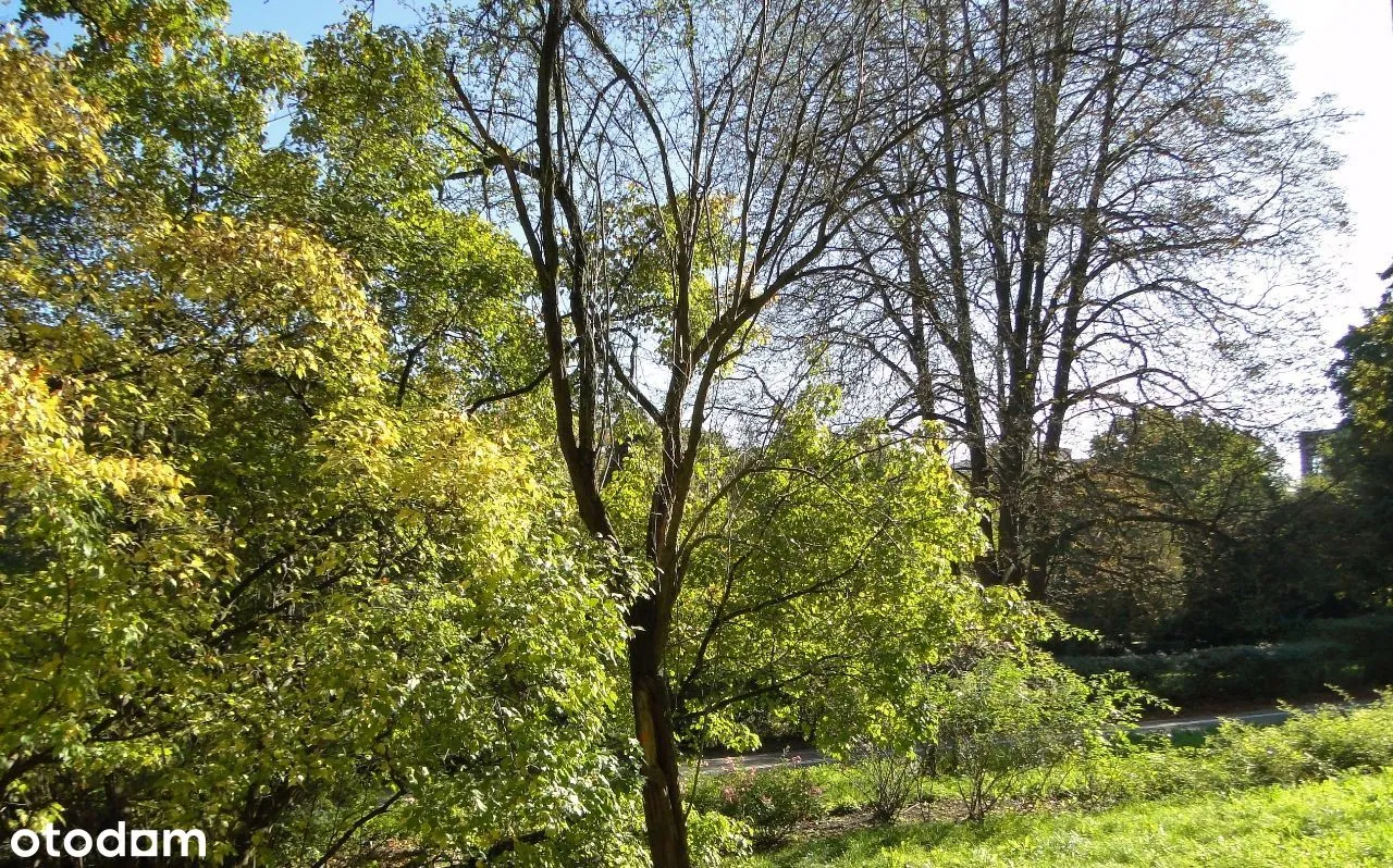 Powiśle park ciche mieszkanie 2pokoje,bezpośrednio