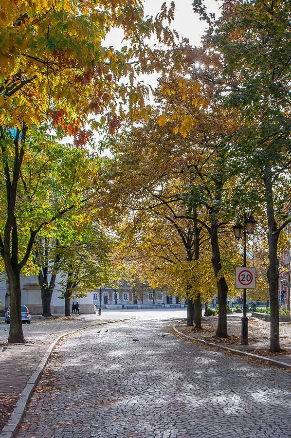 Urokliwe mieszkanie na Nowym Mieście 