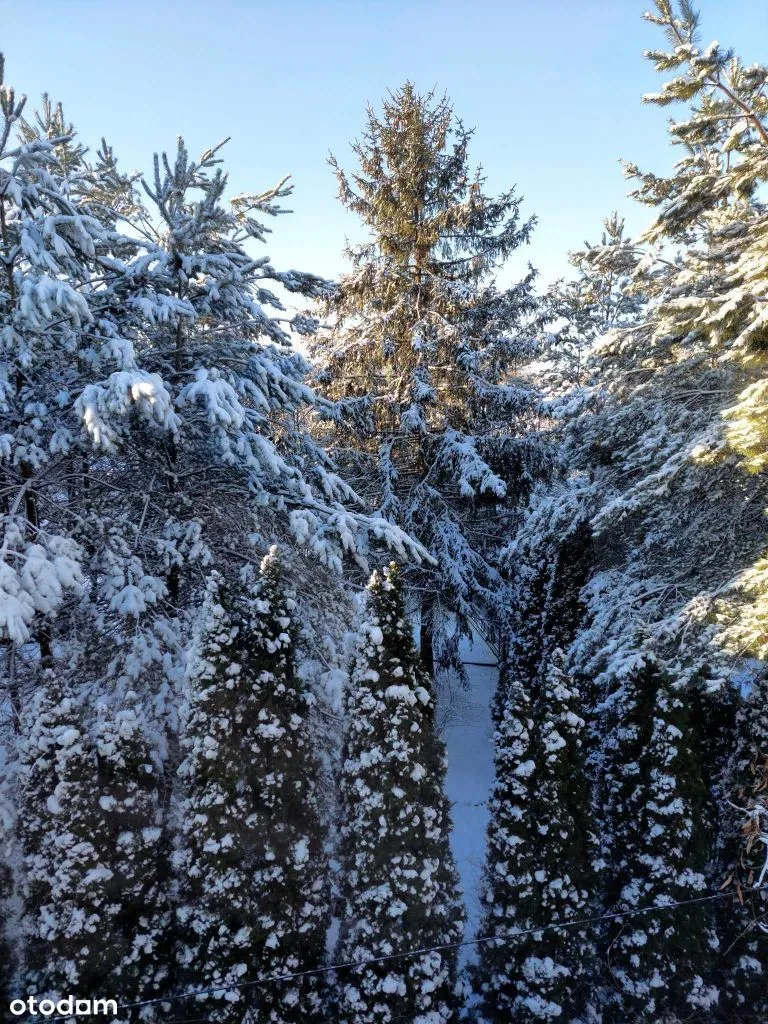 Bezpośrednio Tarchomin, ul. Majolikowa, 3 pokoje