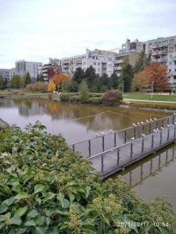 Warszawa Mokotów, ul. Przejazd Mieszkanie - 3 pokoje - 70 m2 - 1 piętro