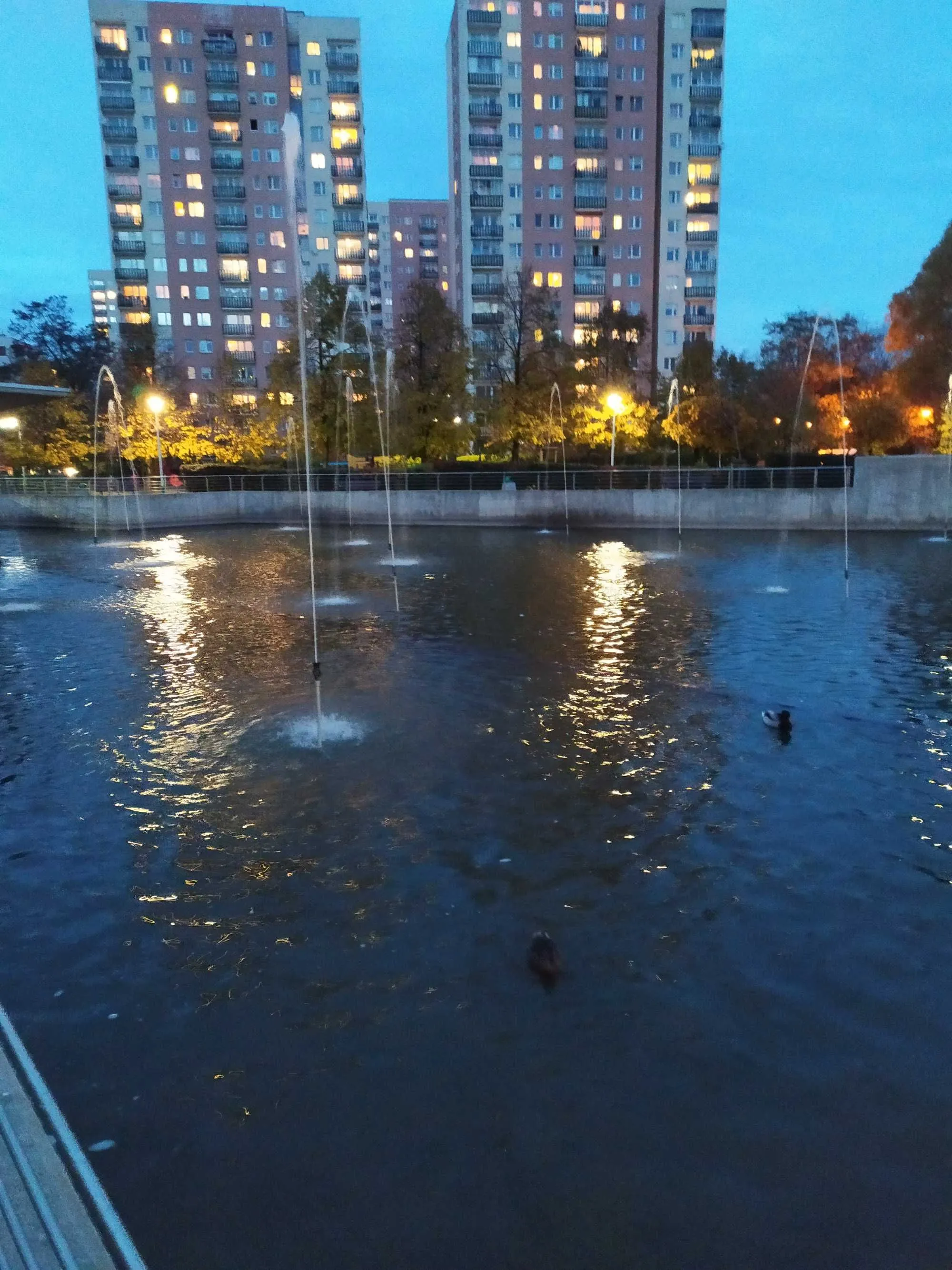 Duża kawalerka z oddzielną kuchnią, Mokotów Dolny, tramwaj do Centrum.