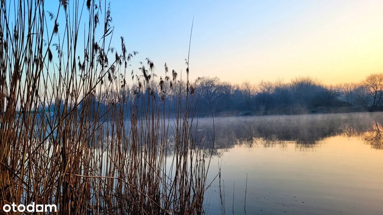 Żoliborz Stary 3 pok. zielony Żoliborz Wisła