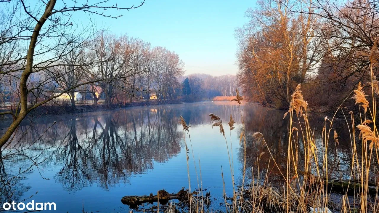 Śródmieście Powiśle 3 maja i Solec Cicha Duża kawa