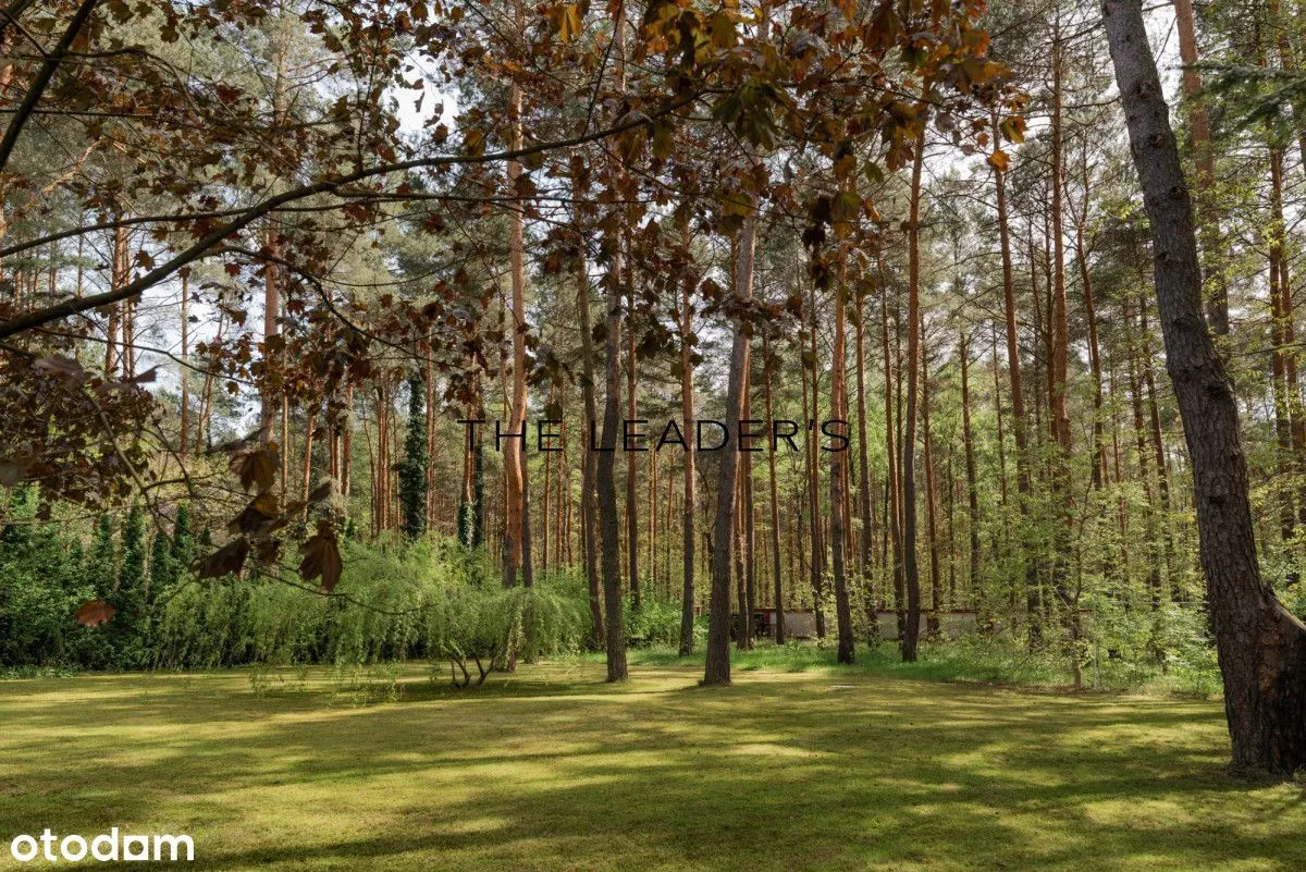 Elegancka rezydencja w otulinie lasu ze trefą Spa