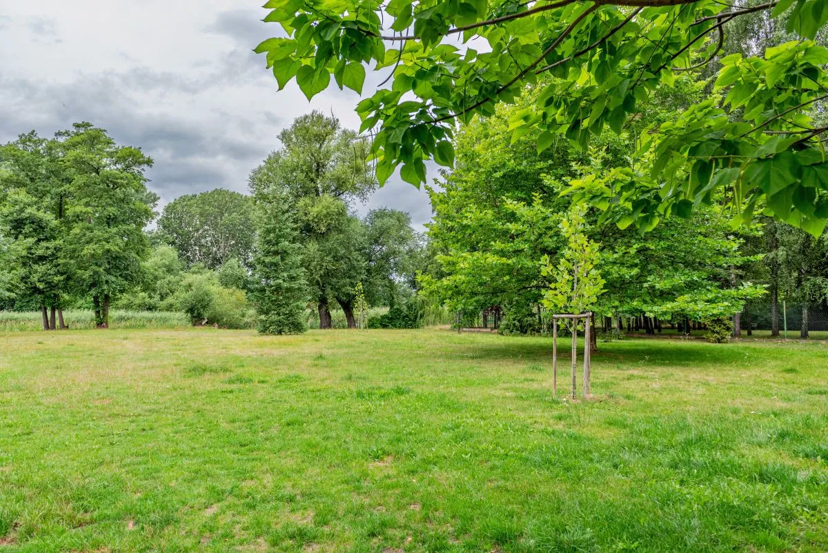 Dom na sprzedaż, 600 m², Warszawa Wilanów Zawady 