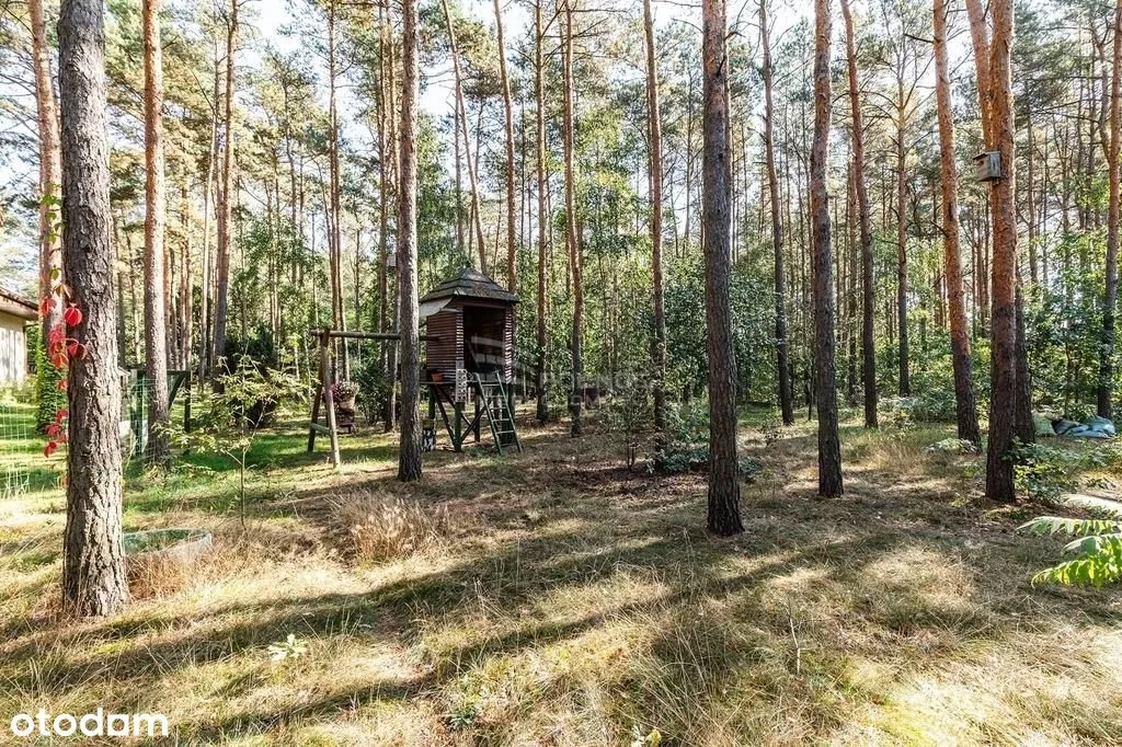 Dom jednorodzinny w lesie, Wawer Międzylesie