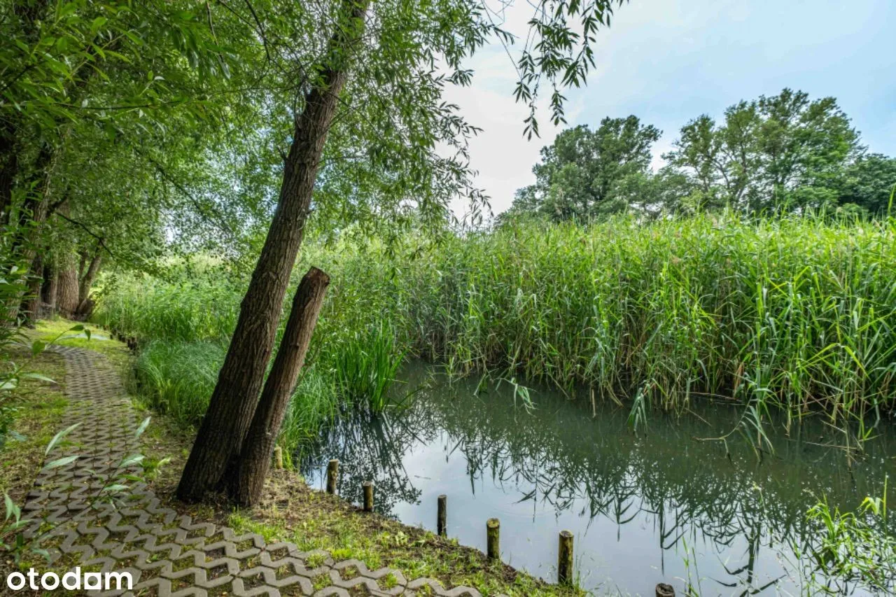 Rozkładowe trzypokojowe mieszkanie na Zawadach.