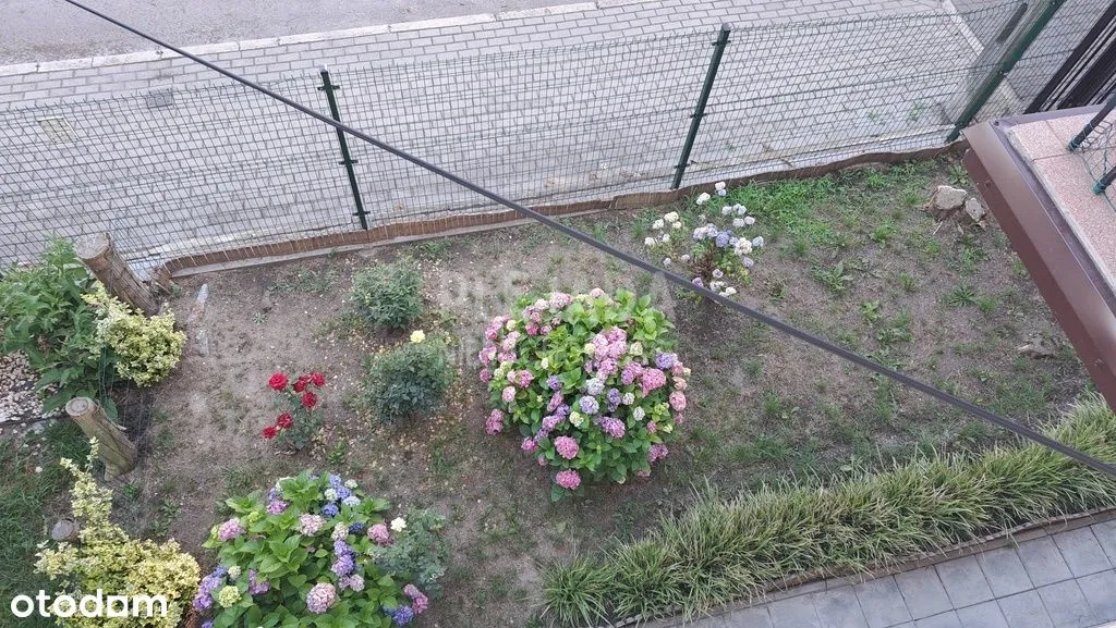 2 pokoje z ogródkiem i balkonem Stawy Koziorożca