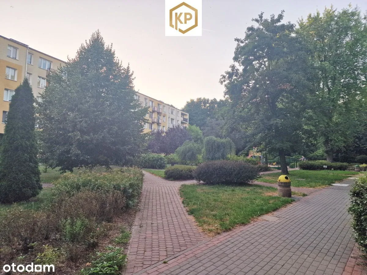 | 29m2 | Las | Rezerwat | Nowa kuchnia | Pkp |