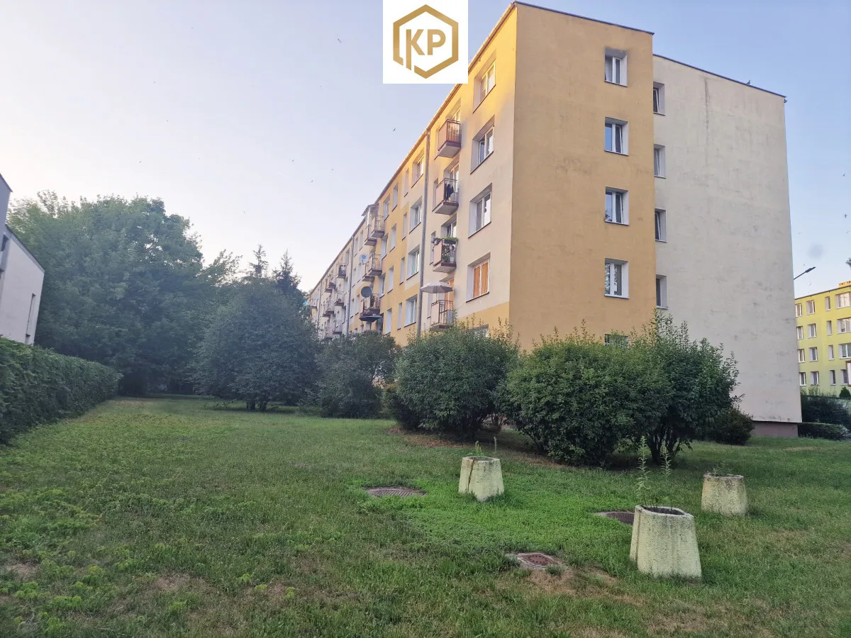 | 29m2 | Las | Rezerwat | Nowa kuchnia | Pkp |