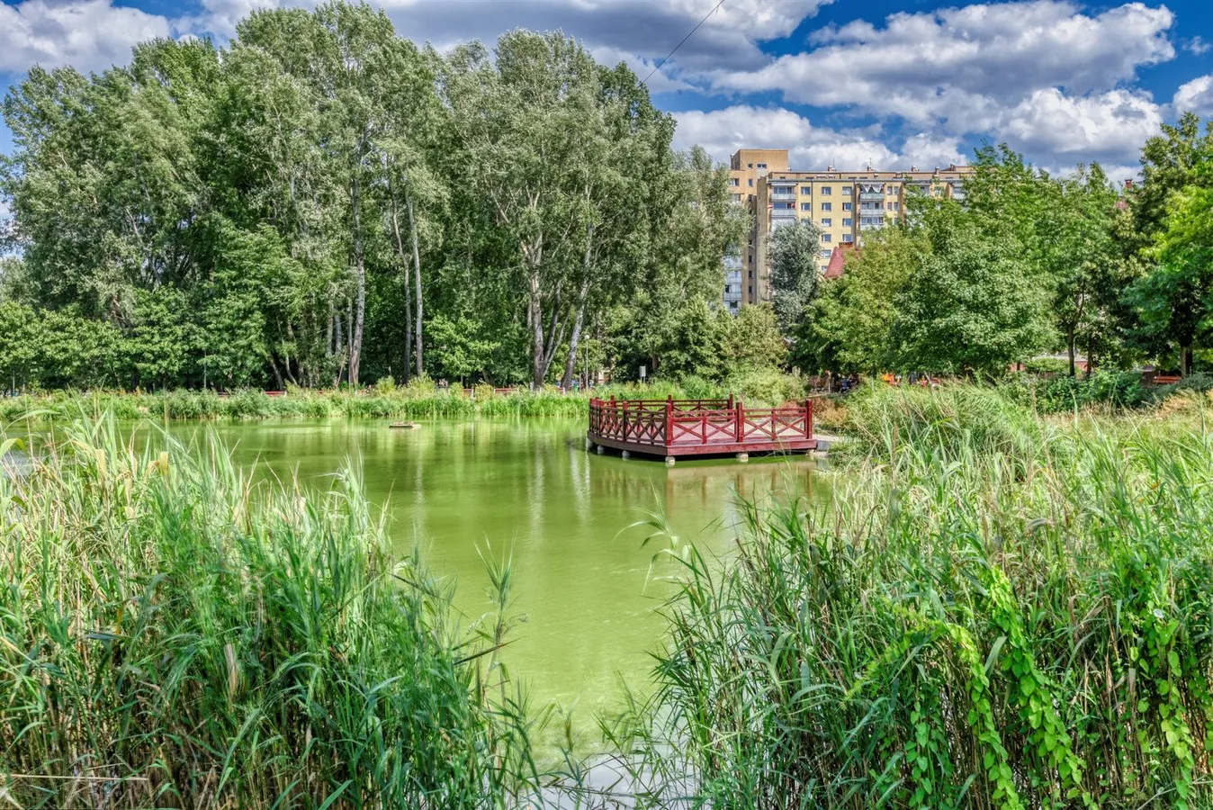 Przestronne. Ciche. Metro Wawrzyszew. Przy zieleni 