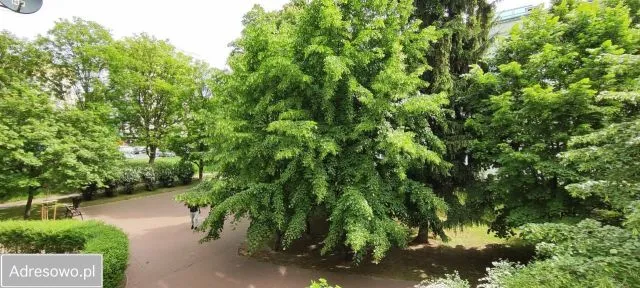 Warszawa Rakowiec Mieszkanie - 3 pokoje - 66 m2 - 1 piętro