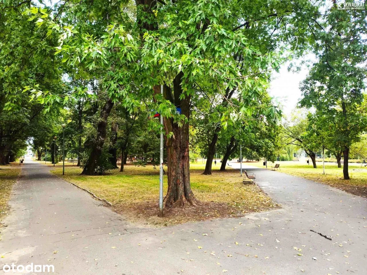 42m2 2 pokoje Mokotów park Promenada.