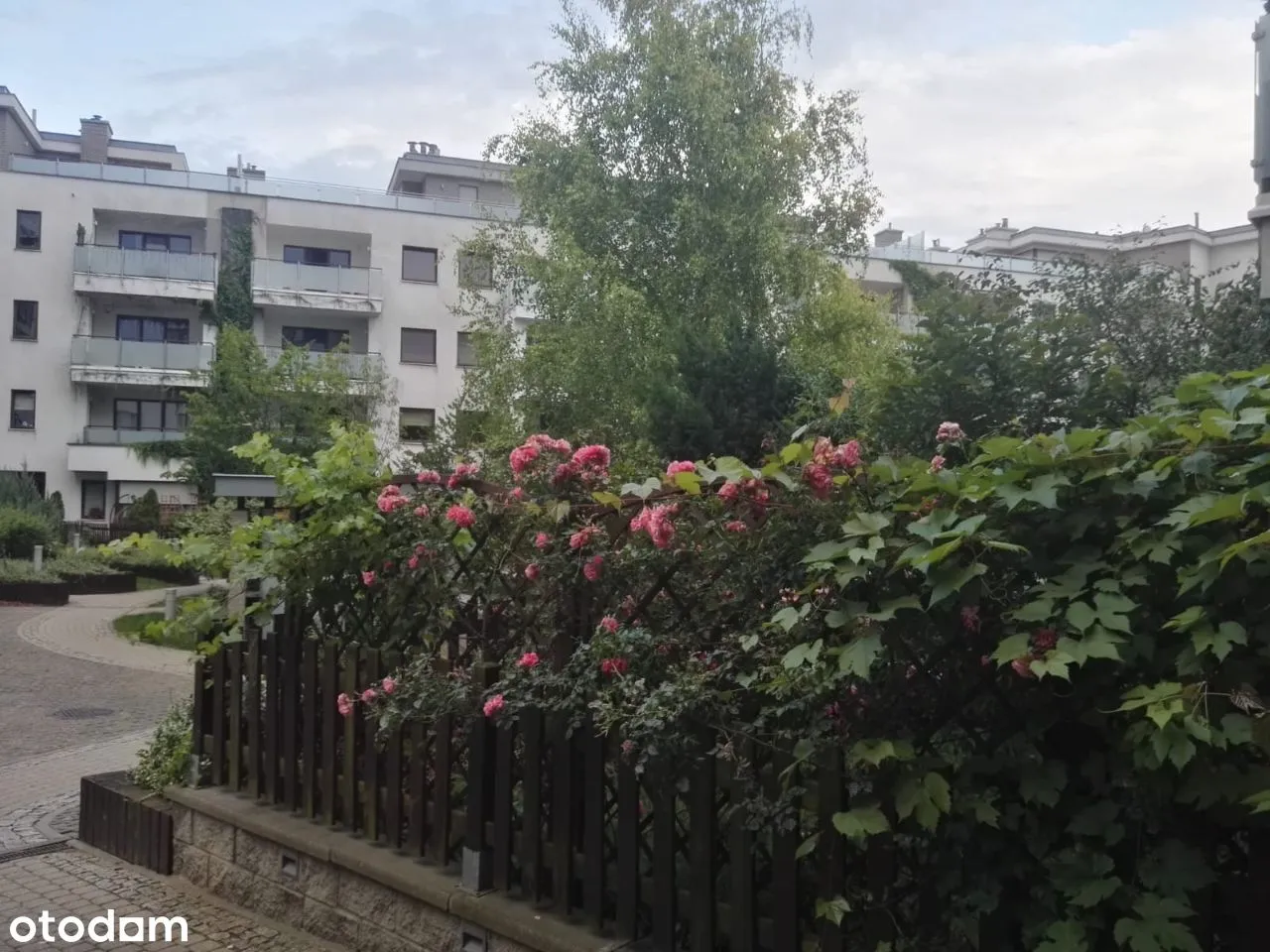 Wynajmę mieszkanie na Sarmackiej (2 pokoje) 60 m2