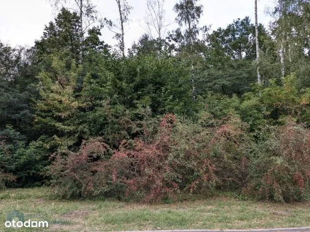 WYJĄTKOWA MIEJSCE NA WOLI,ZABUDOWA MIESZKANIOWA 