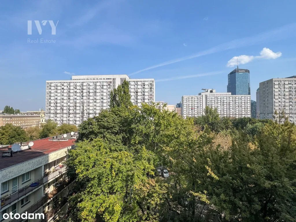 Ciche, wysokie mieszkanie w ścisłym centrum 