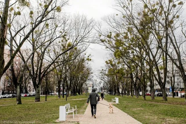 Warszawa Żoliborz, al. Wojska Polskiego Mieszkanie - 3 pokoje - 100 m2 - 3 piętro