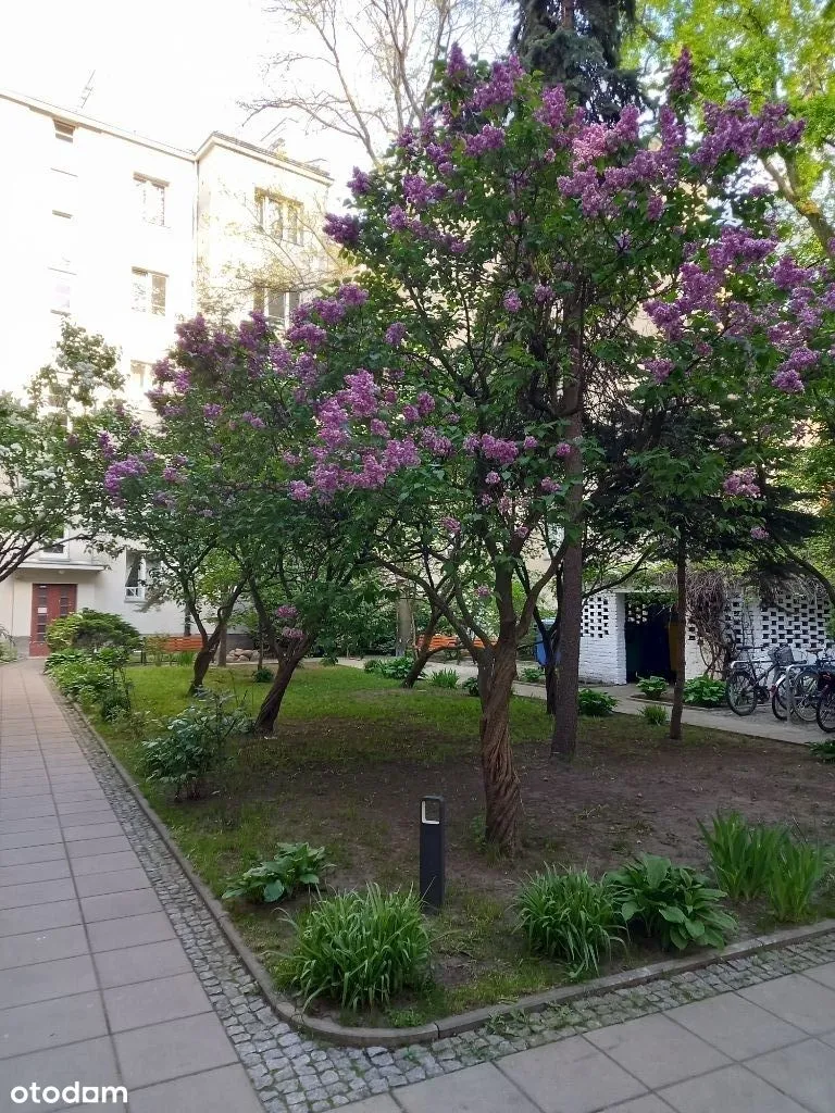 Apartament na Starej Oachocie