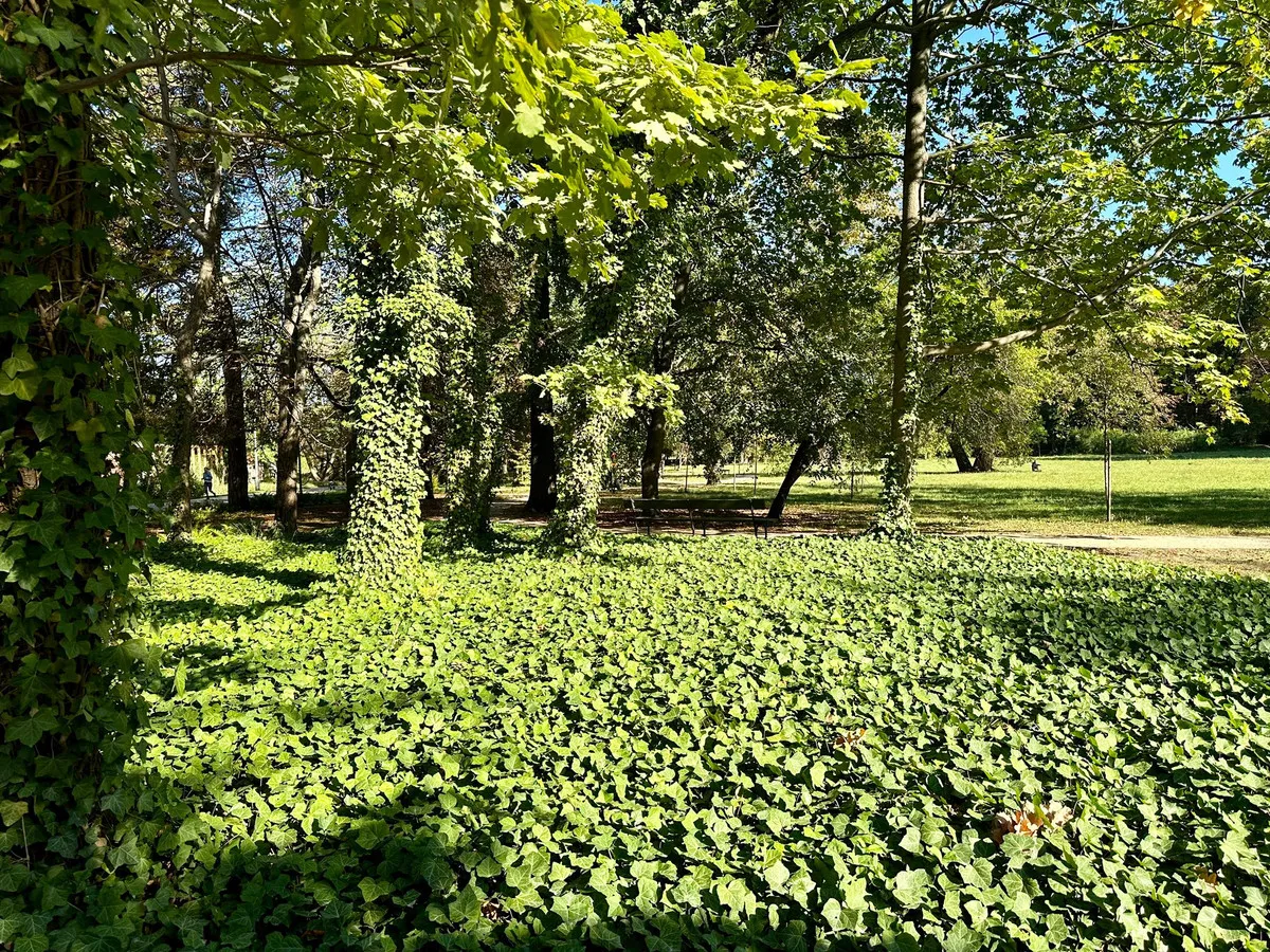 Bezpośrednio Sprzedaż apartament ul. Gagarina 