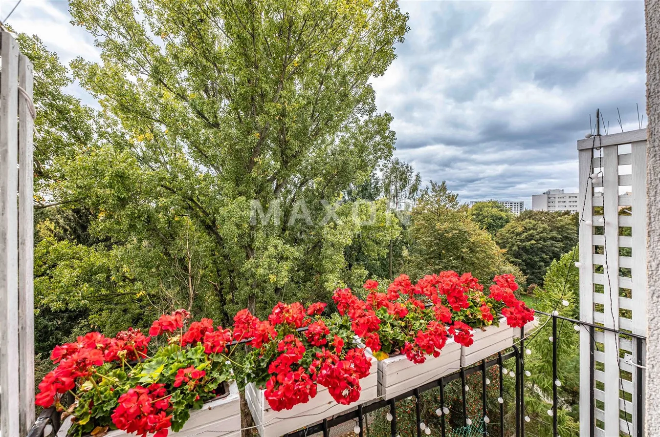 Dwa pokoje z widokiem na park 