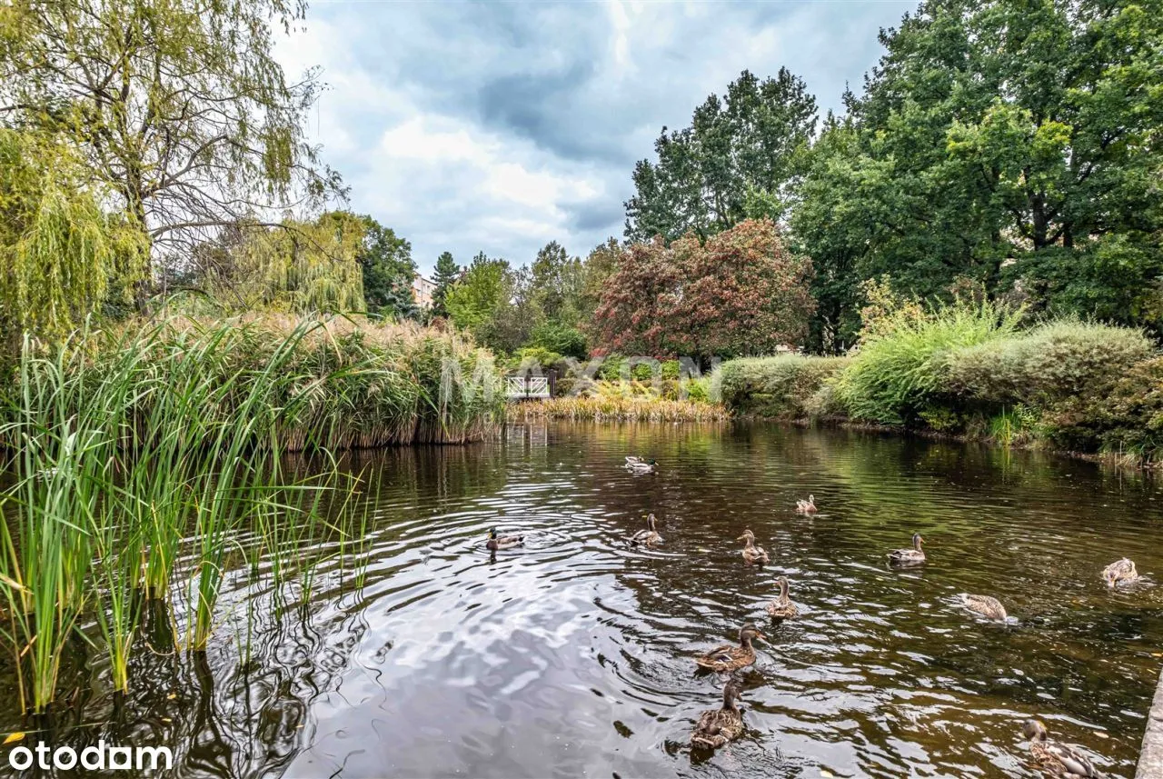 Dwa pokoje z widokiem na park 