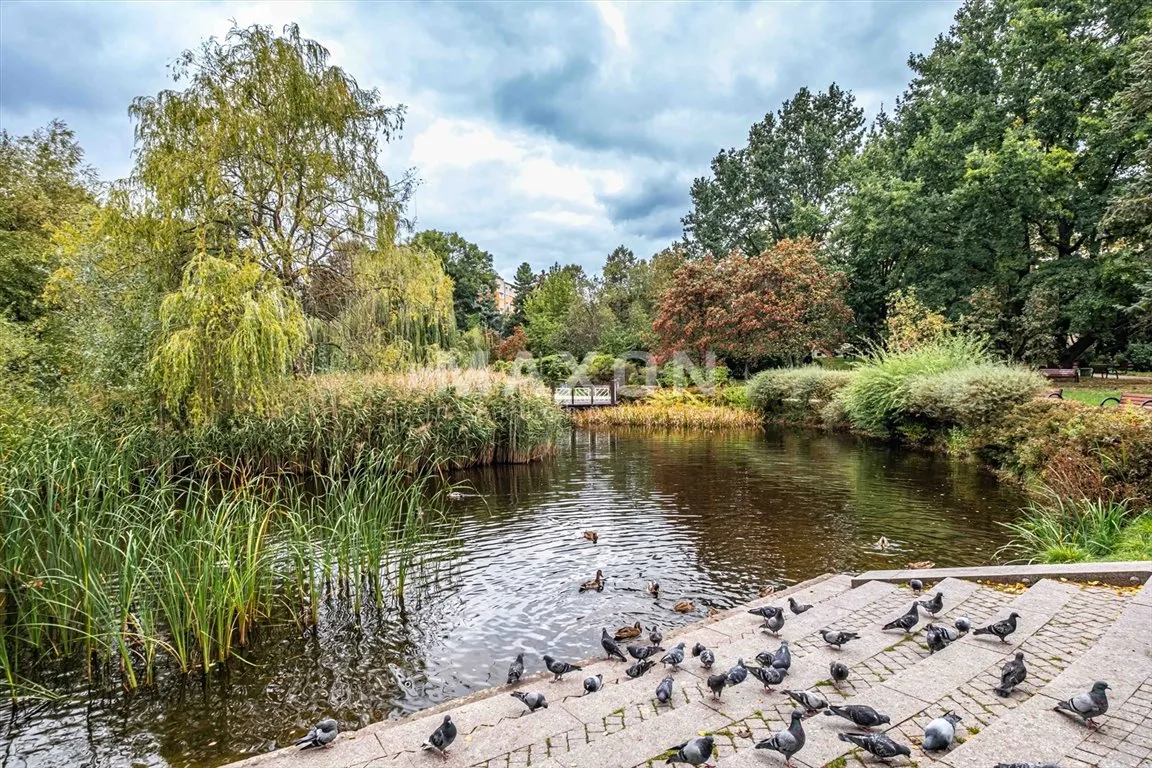 Dwa pokoje z widokiem na park 