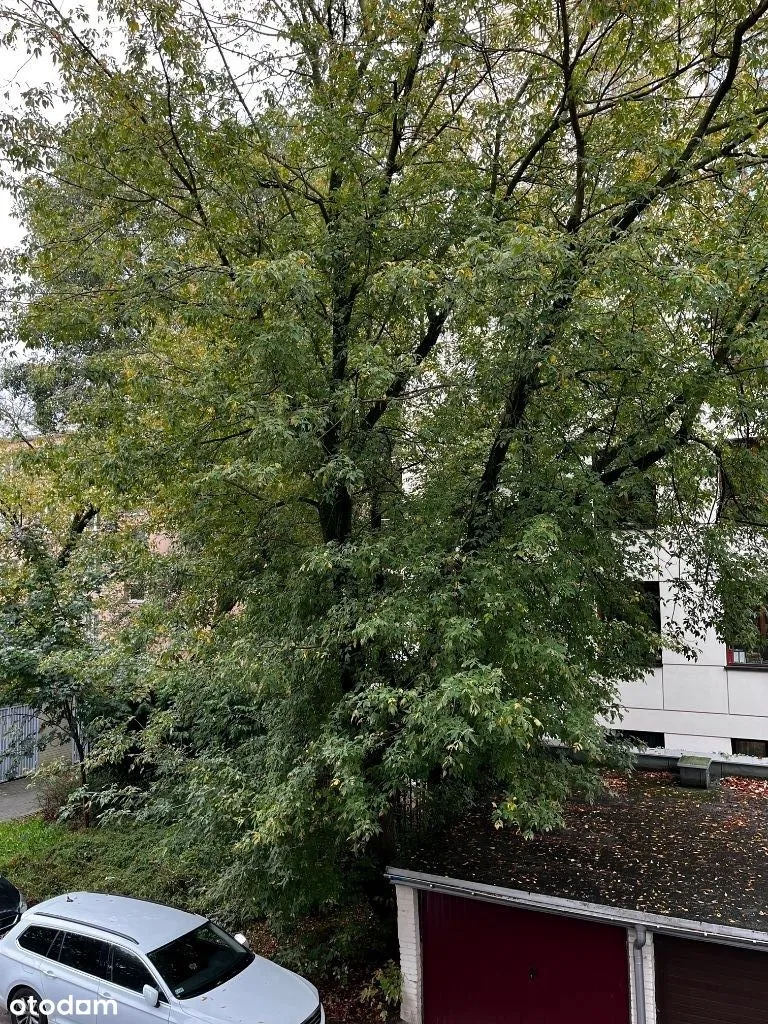 JOLIOT CURIE Górny Mokotów 2 pok. METRO