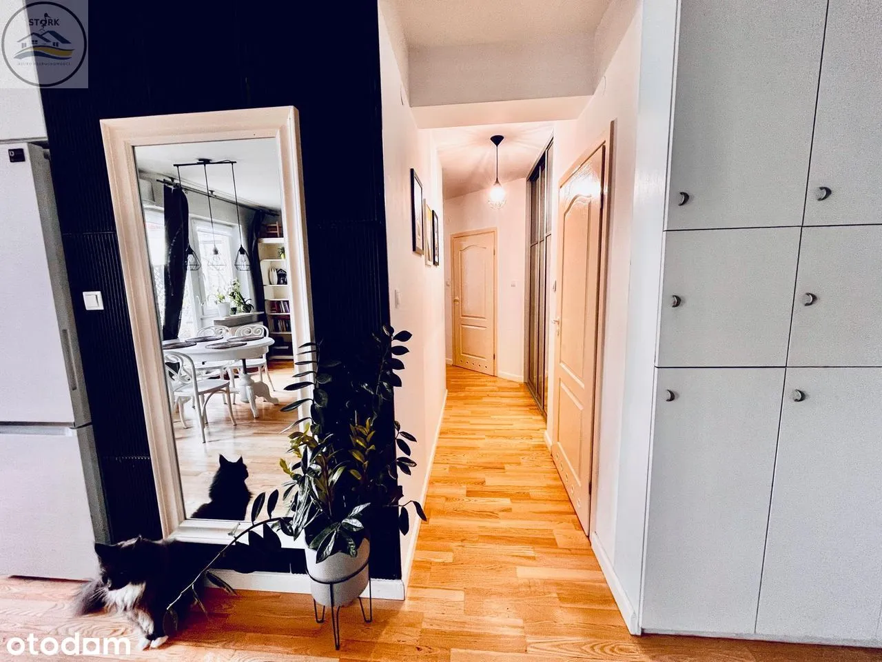 Apartament, ul. Skoroszewska