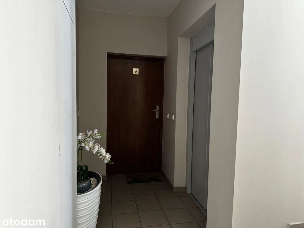 Atrakcyjny Apartament w dogodnej lokalizacji Pragi