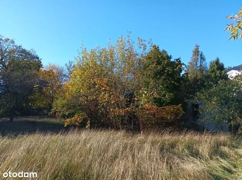 Prezentacja tylko 27 Października (Niedziela)