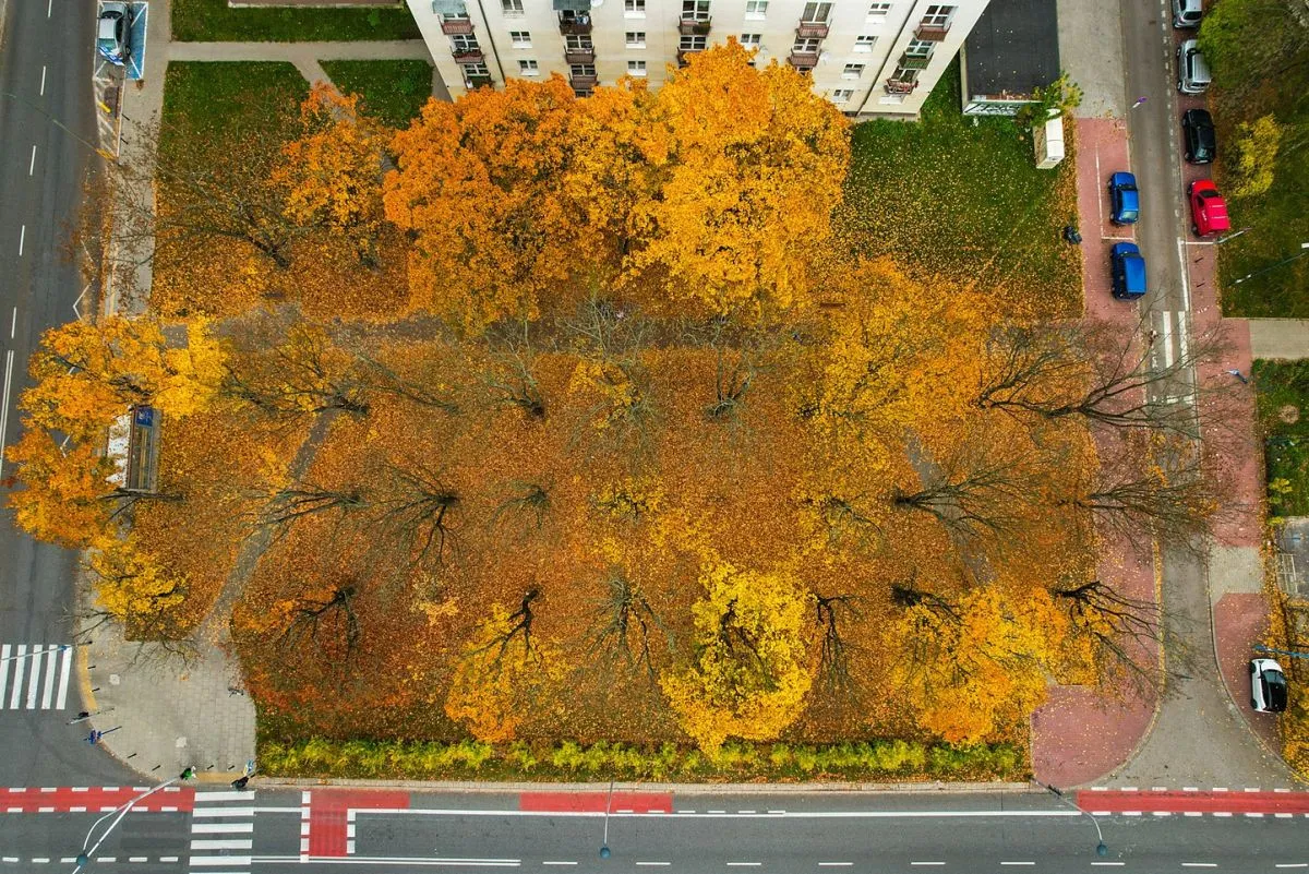 3 pokoje z balkonem*Park Szczęśliwicki*WUM 