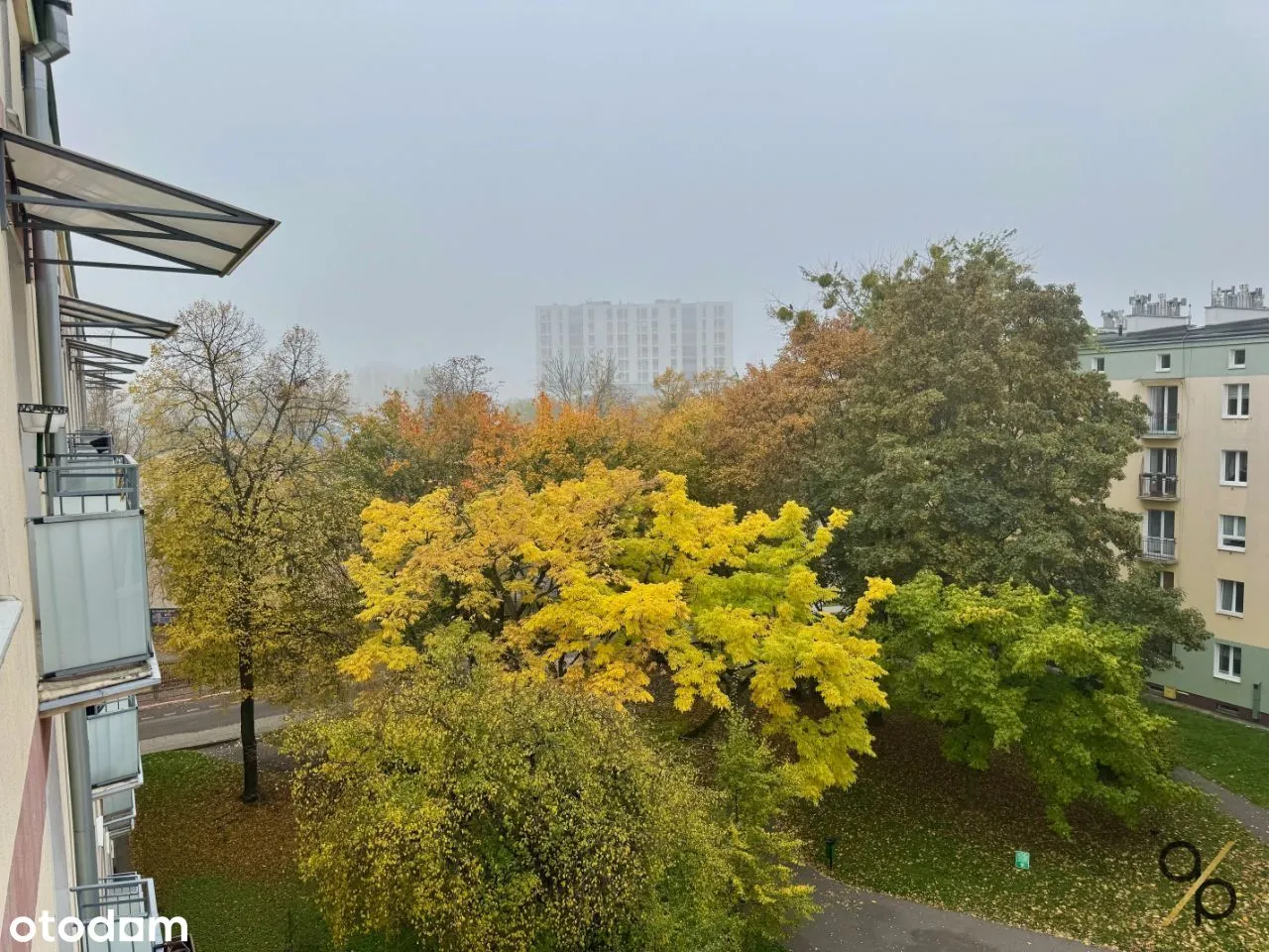 Widne i przytulne mieszkanie - Park Szczęśliwicki