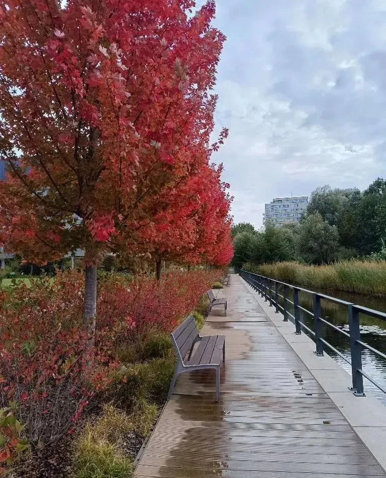 Mieszkanie na sprzedaż 2 pokoje 50m2