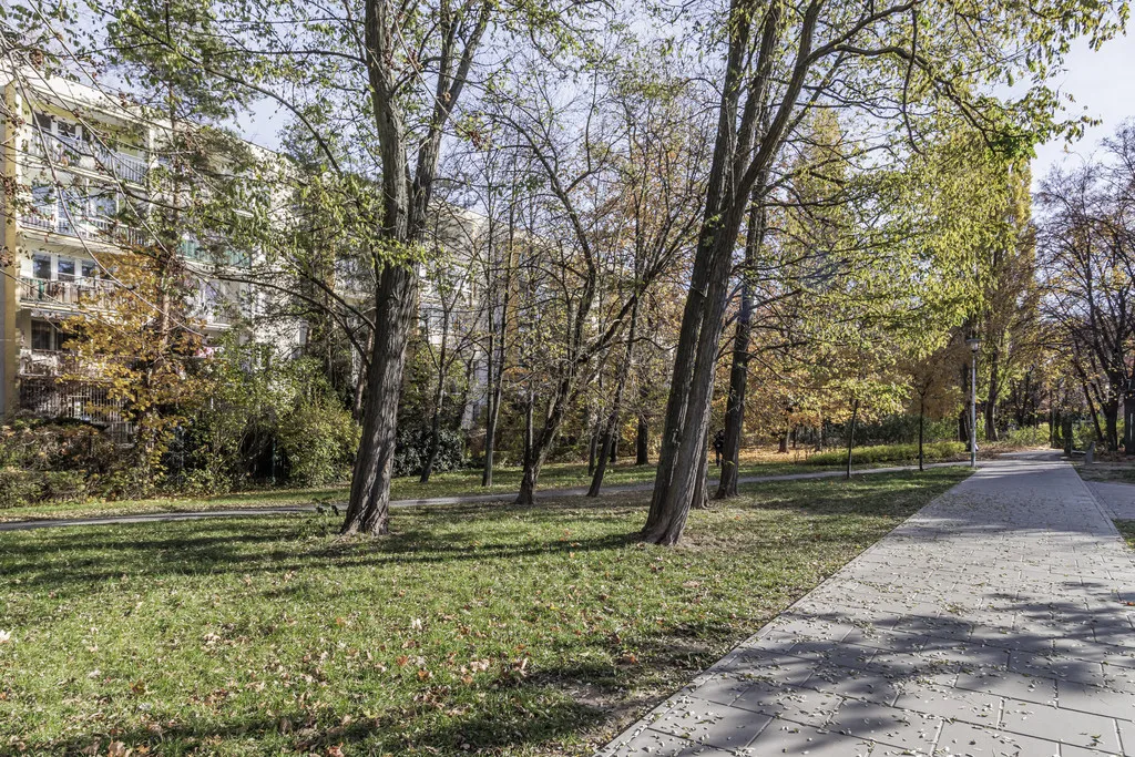 Przestronne mieszkanie po remoncie, z ogródkiem 