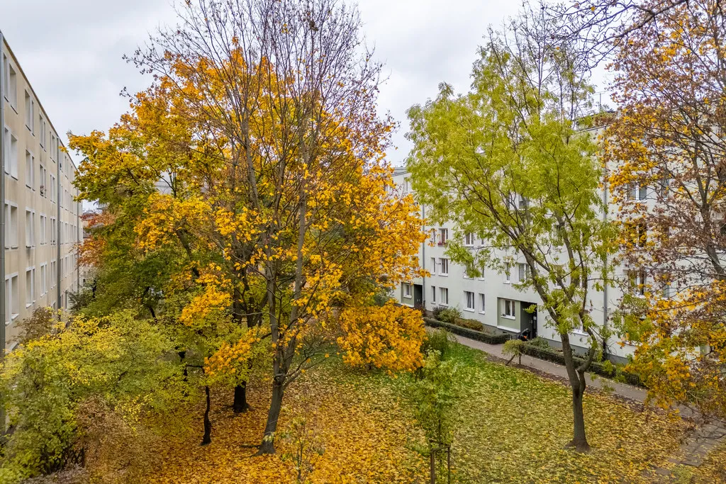 Rozkładowe 3 pokojowe w zieleni 