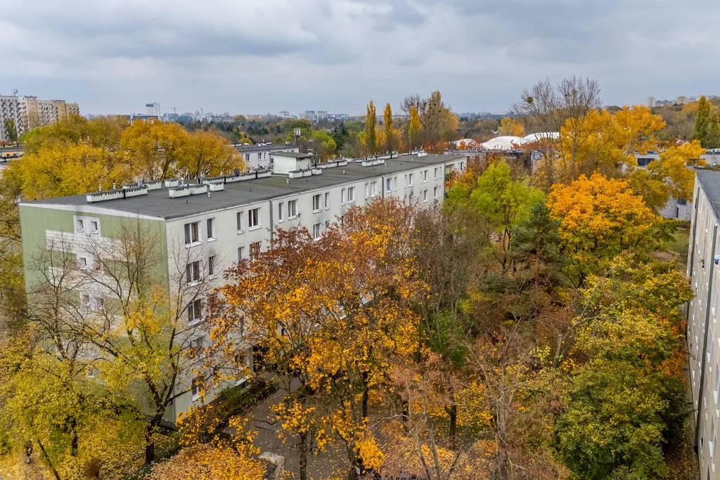 Rozkładowe 3 pokojowe w zieleni 