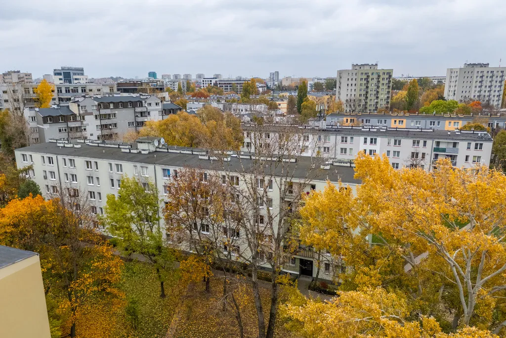 Rozkładowe 3 pokojowe w zieleni 