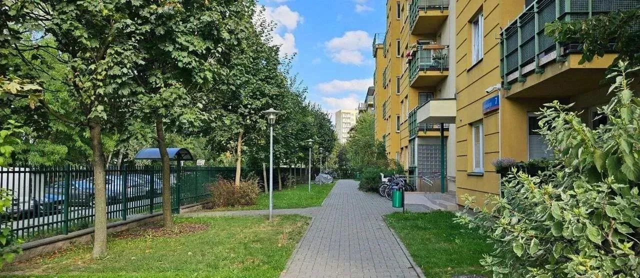 Mieszkanie na wynajem 2 pokoje 50m2