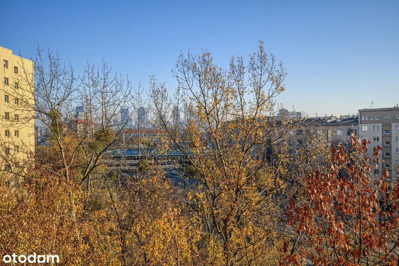 kawalerka przy Parku*widok na Centrum*bez prowizji