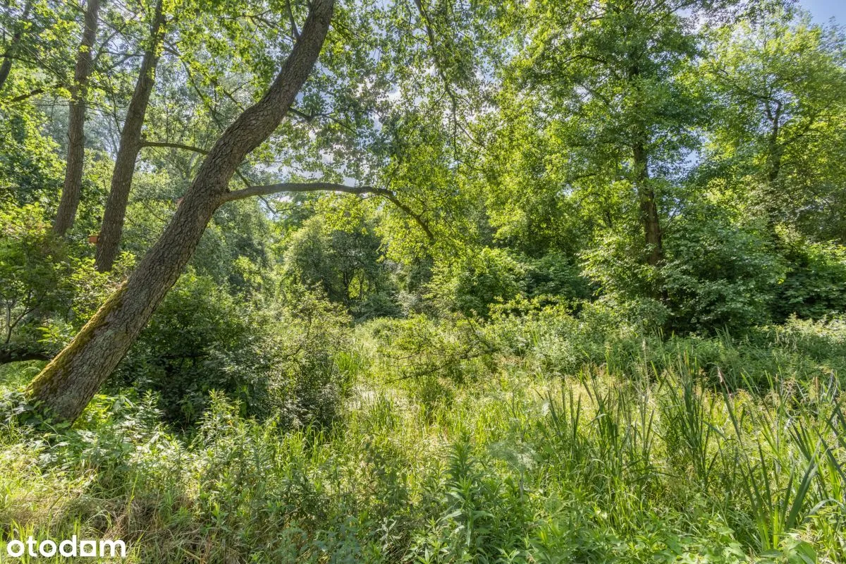 Gotowy Do Zamieszkania Bliźniak  Na Wilanowie