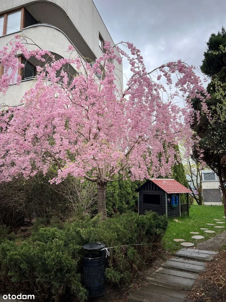 Bemowo, dwupoziomowy apartament z widokiem na park