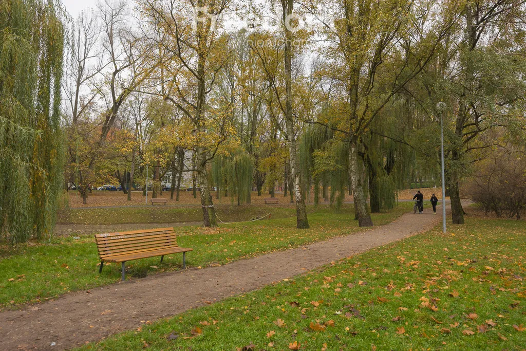 Studio w kamienicy przy Parku Promenada 