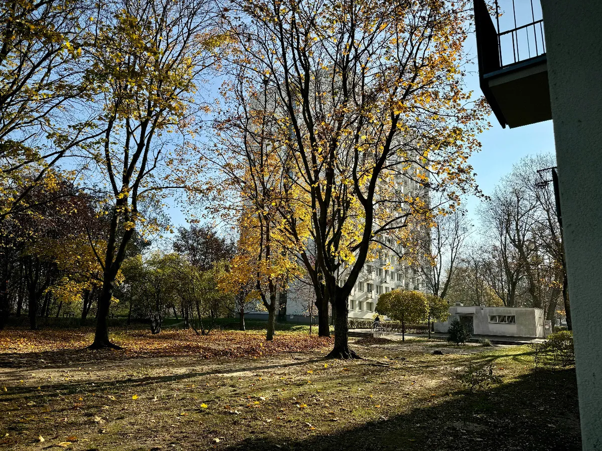 BEZPOŚREDNIO, 2 pok, metro, park 