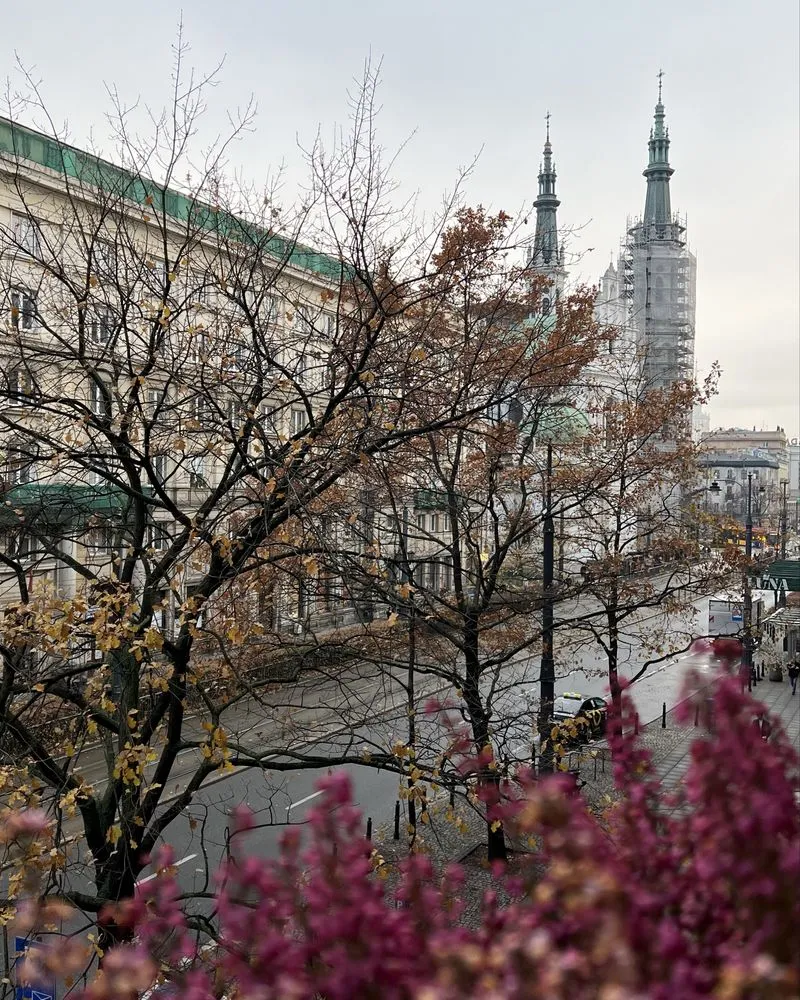 Plac Zbawiciela | ul. Marszałkowska | 3 pokoje | Bezpośrednio