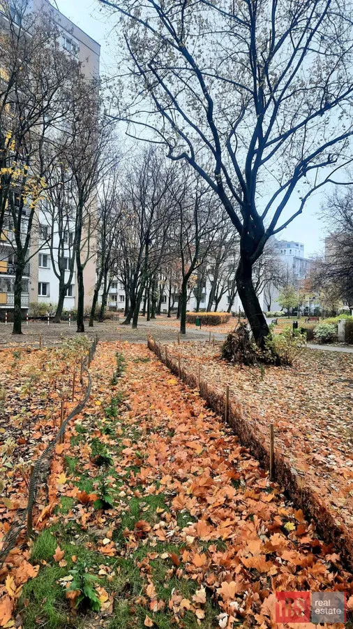 Kawalerka z balkonem, piwnicą i widną kuchnią 